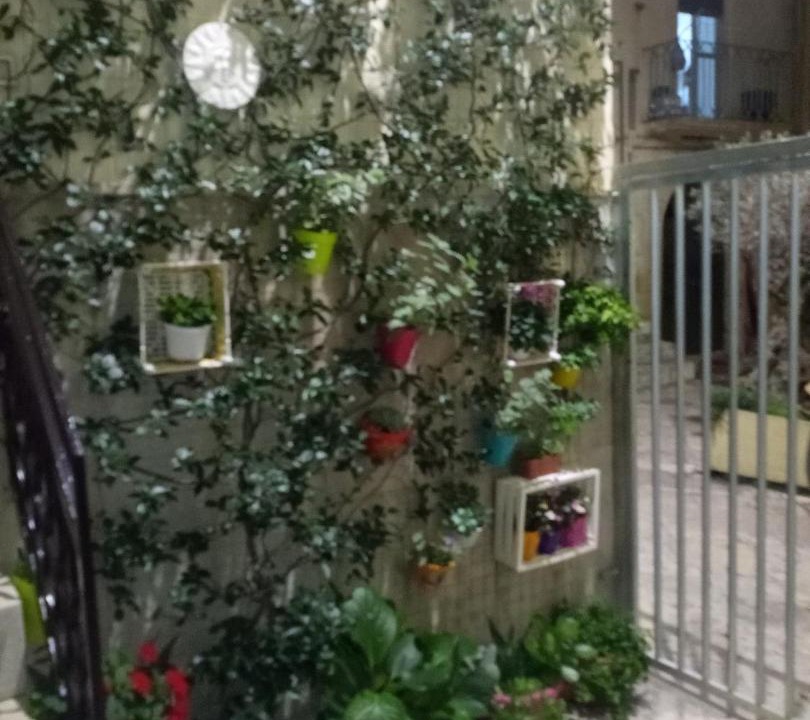 Photo of Others in Altamura