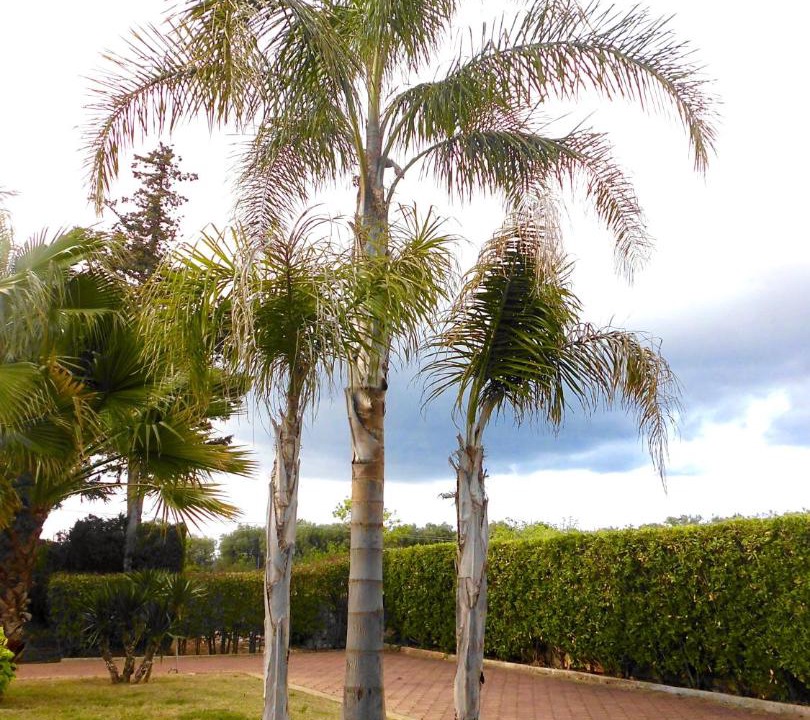 Photo of Outdoor in San Vito dei Normanni