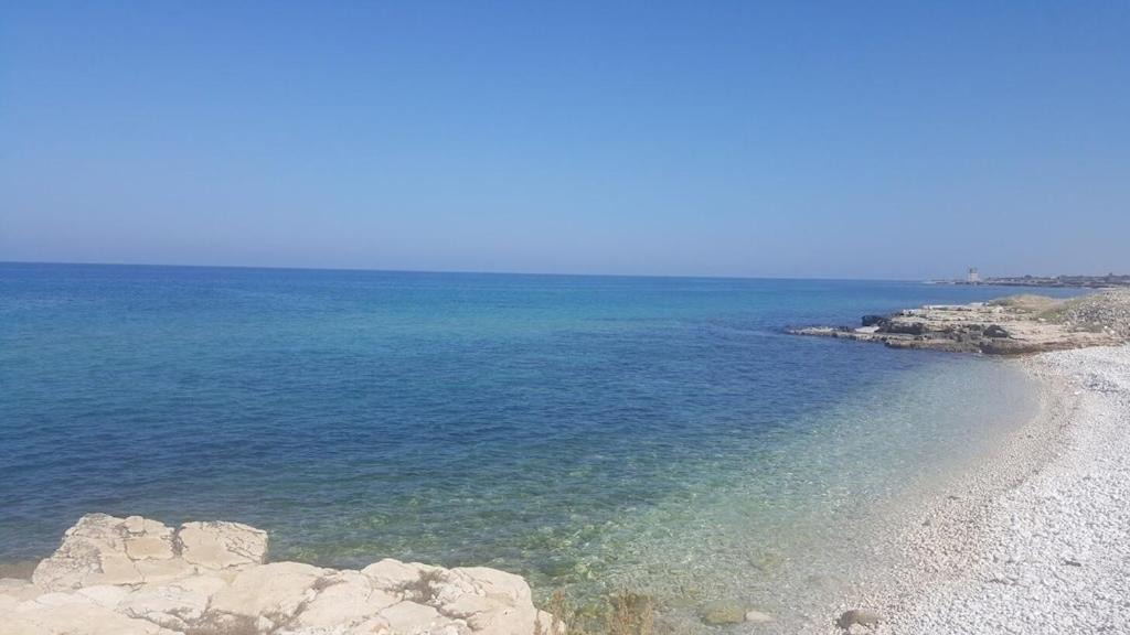 Photo of Others in Molfetta