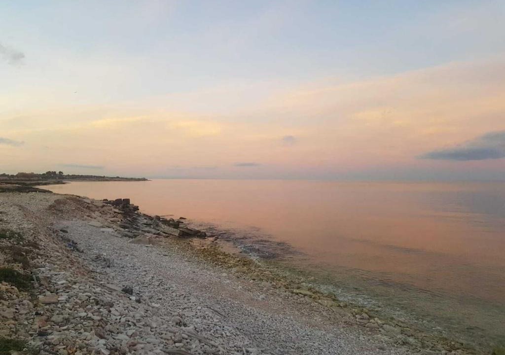 Photo of Others in Molfetta