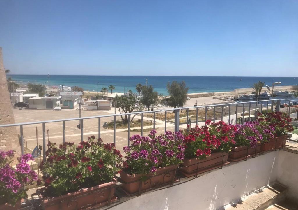 Photo of Patio Balcony in Campomarino di Maruggio