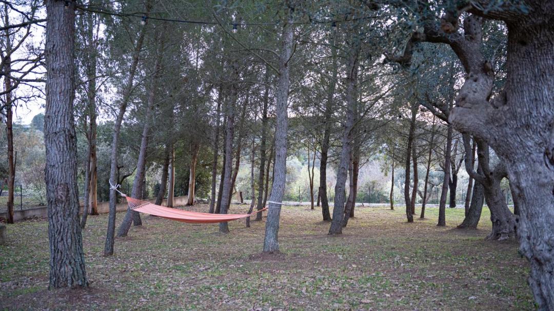 Photo of Others in Putignano