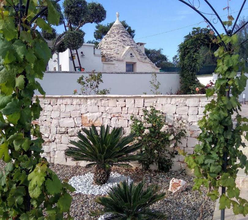 Photo of Others in Alberobello