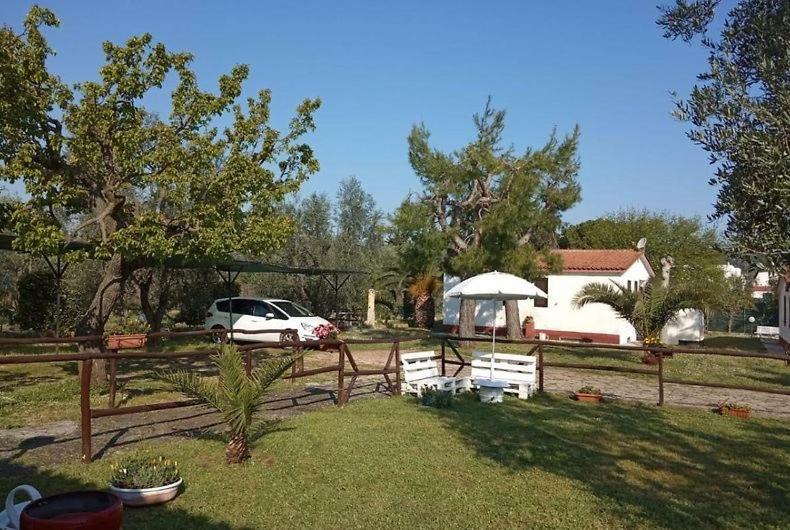 Photo of Others in Montincello