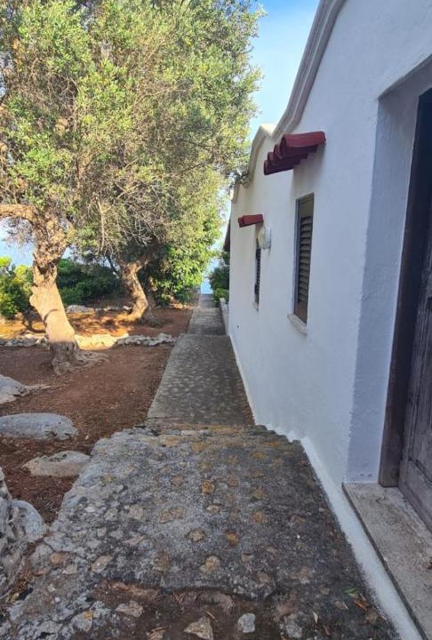 Photo of Buildings in Marina di Marittima
