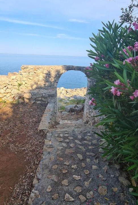 Photo of Outdoor in Marina di Marittima