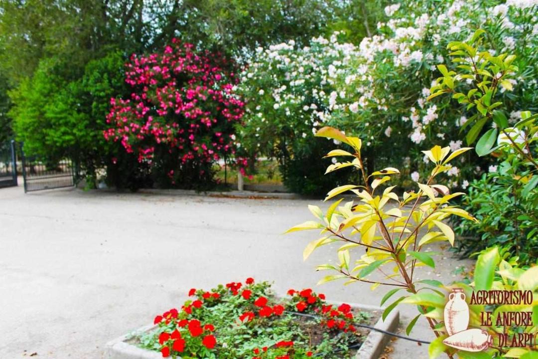 Photo of Outdoor in Foggia