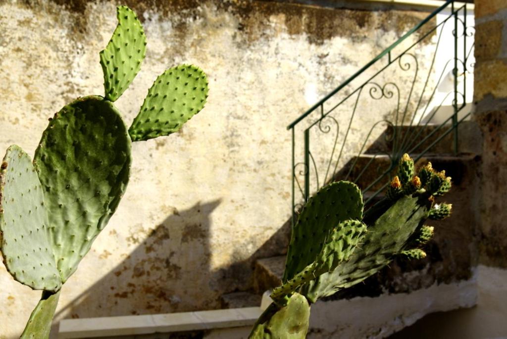 Photo of Others in Centro Storico