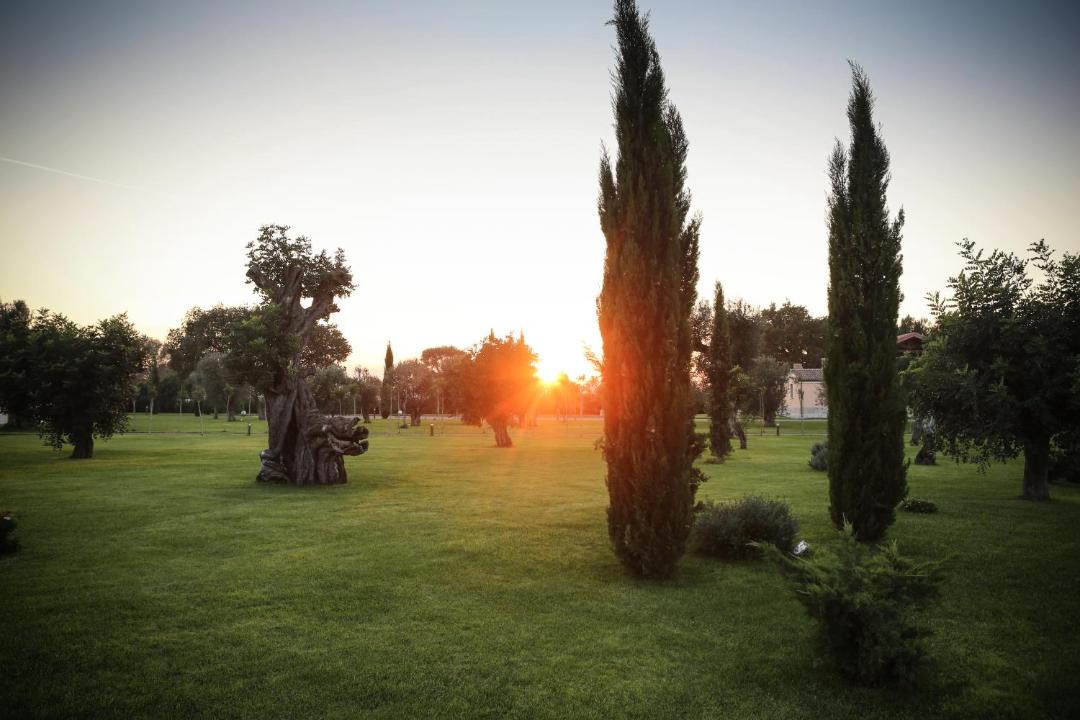 Photo of Others in Foggia
