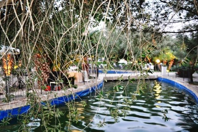 Photo of Others in San Giovanni Rotondo