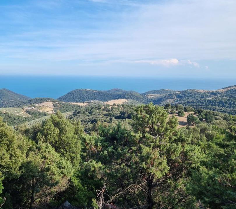 Photo of Outdoor in Peschici