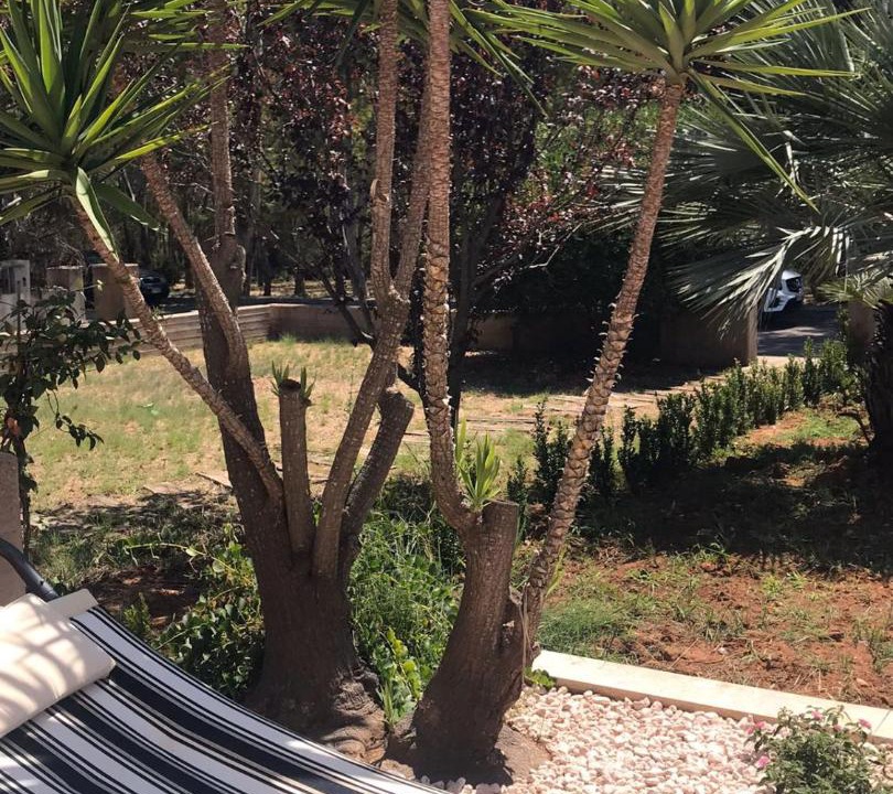 Photo of Others in Lido Marini