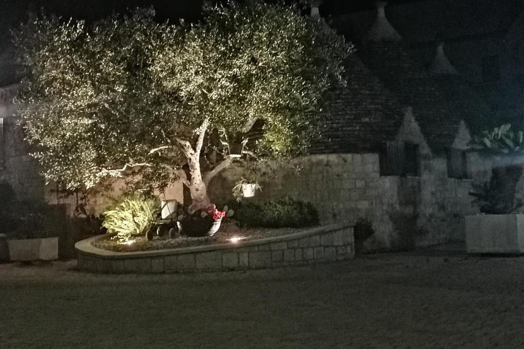 Photo of Others in Alberobello