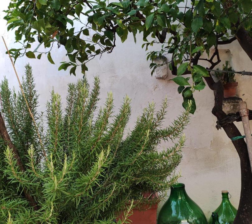 Photo of Outdoor in Cellino San Marco