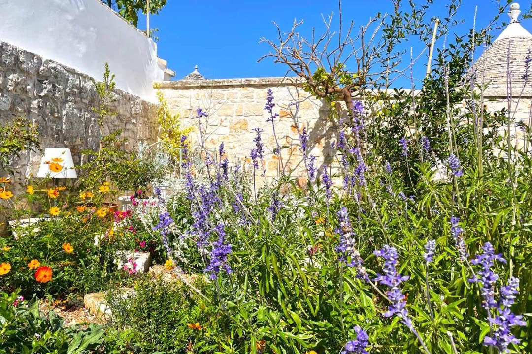 Photo of Others in The Trulli of Alberobello