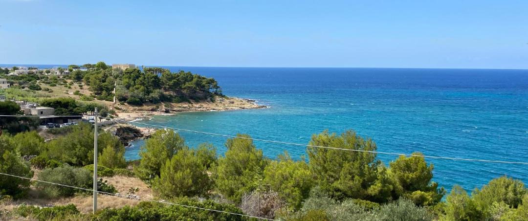 Photo of Others in Marina San Gregorio