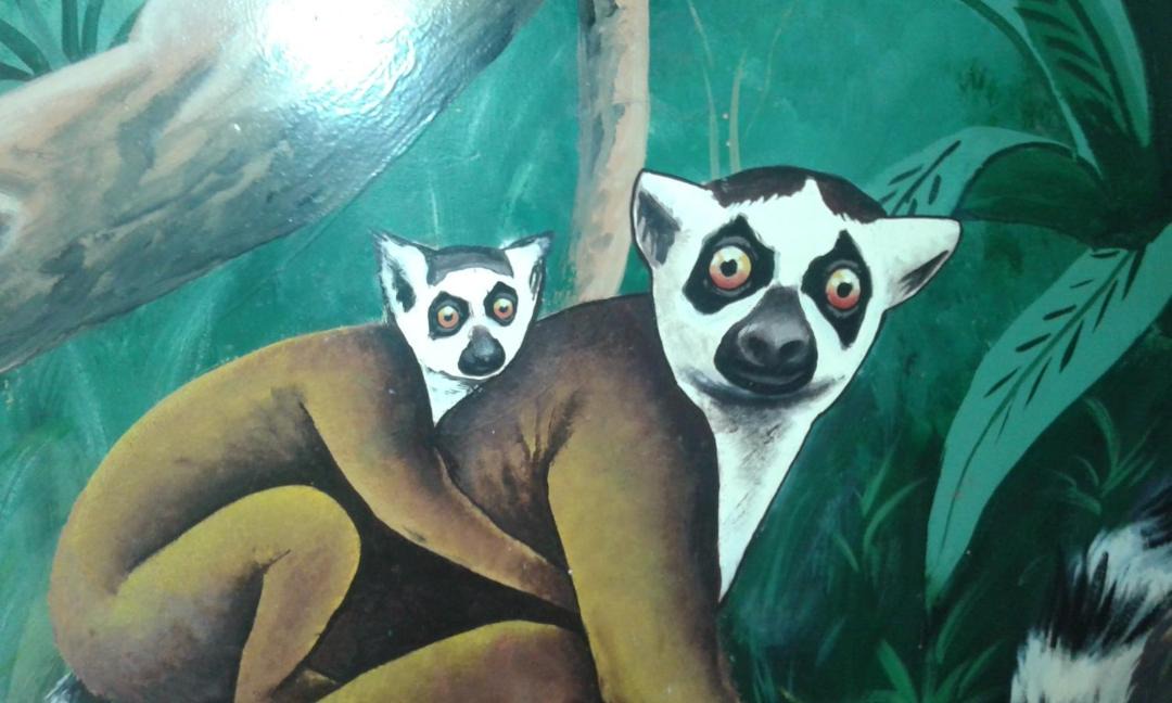 Photo of Human In Picture in Diego Suarez