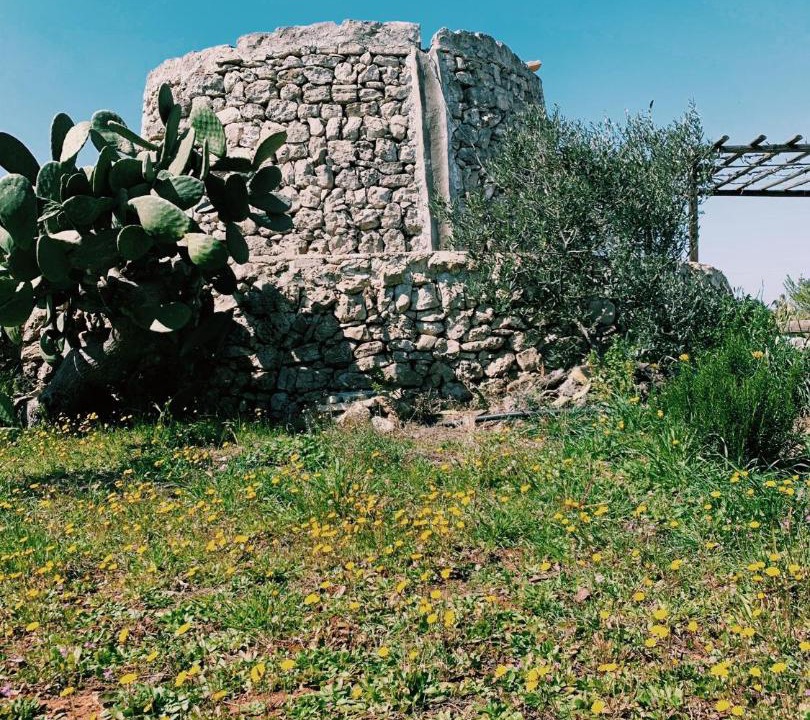 Photo of Others in Alliste