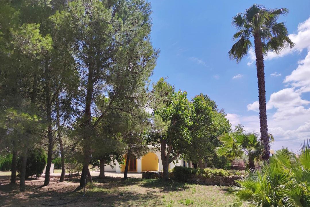 Photo of Outdoor in Specchia