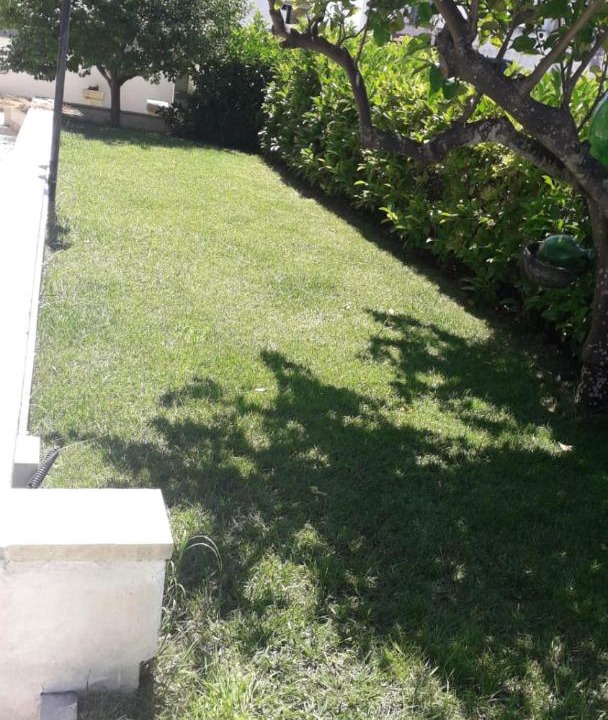 Photo of Others in Otranto