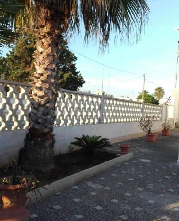 Photo of Others in Torre Lapillo