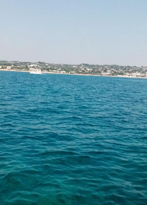 Photo of Others in Torre Vado