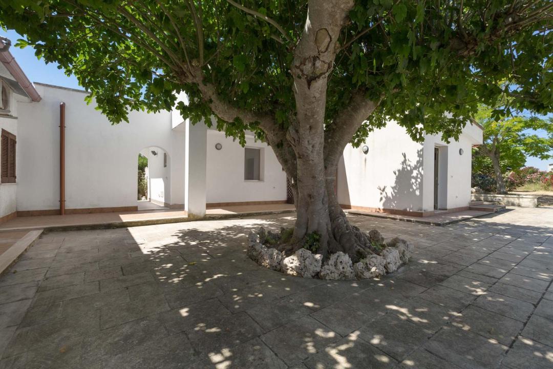 Photo of Others in Otranto