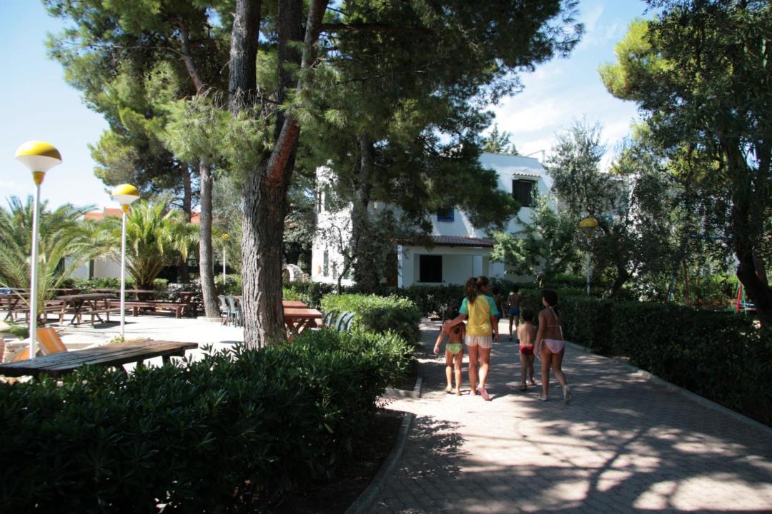 Photo of Others in Montincello