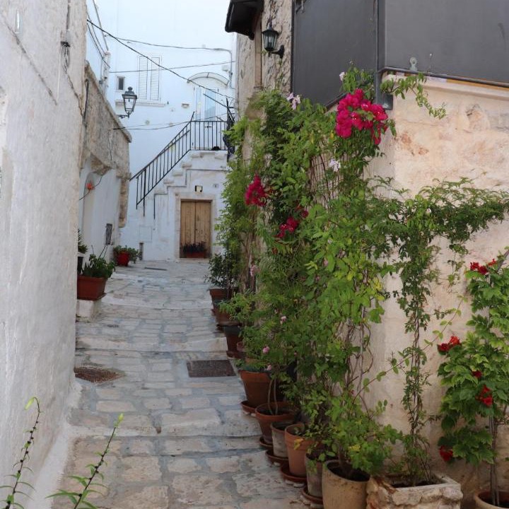 Photo of Others in Ceglie Messapica