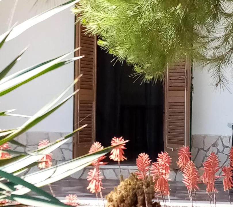 Photo of Others in Torre Vado