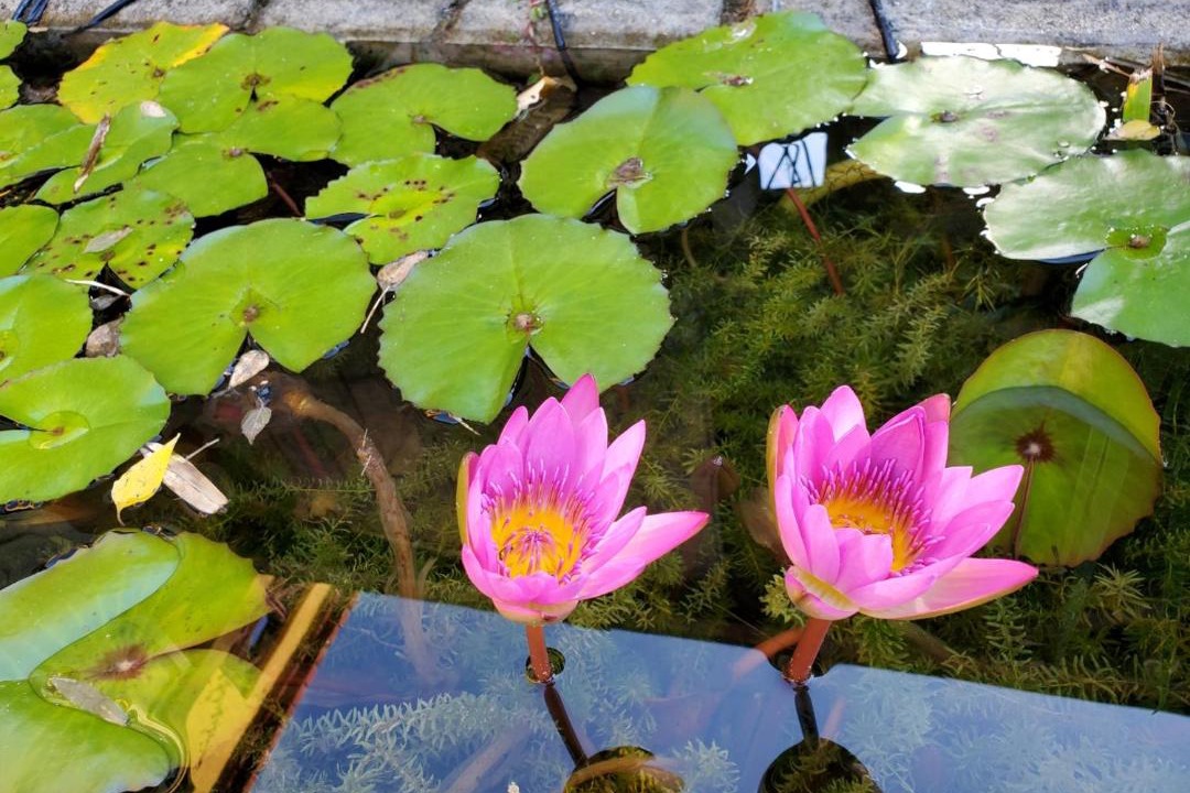 Photo of Others in Hengchun