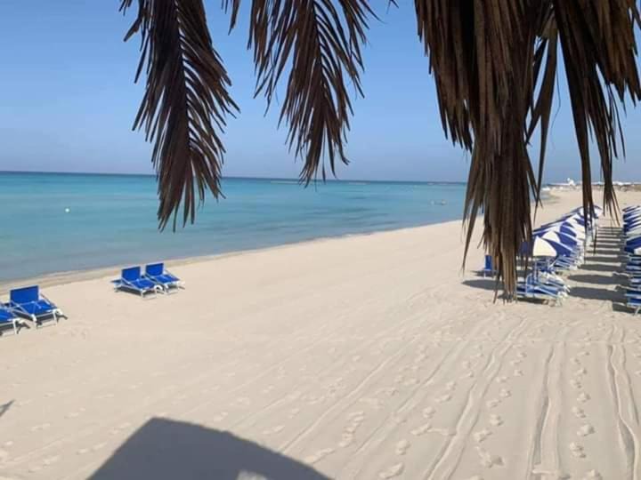 Photo of Others in Torre Mozza