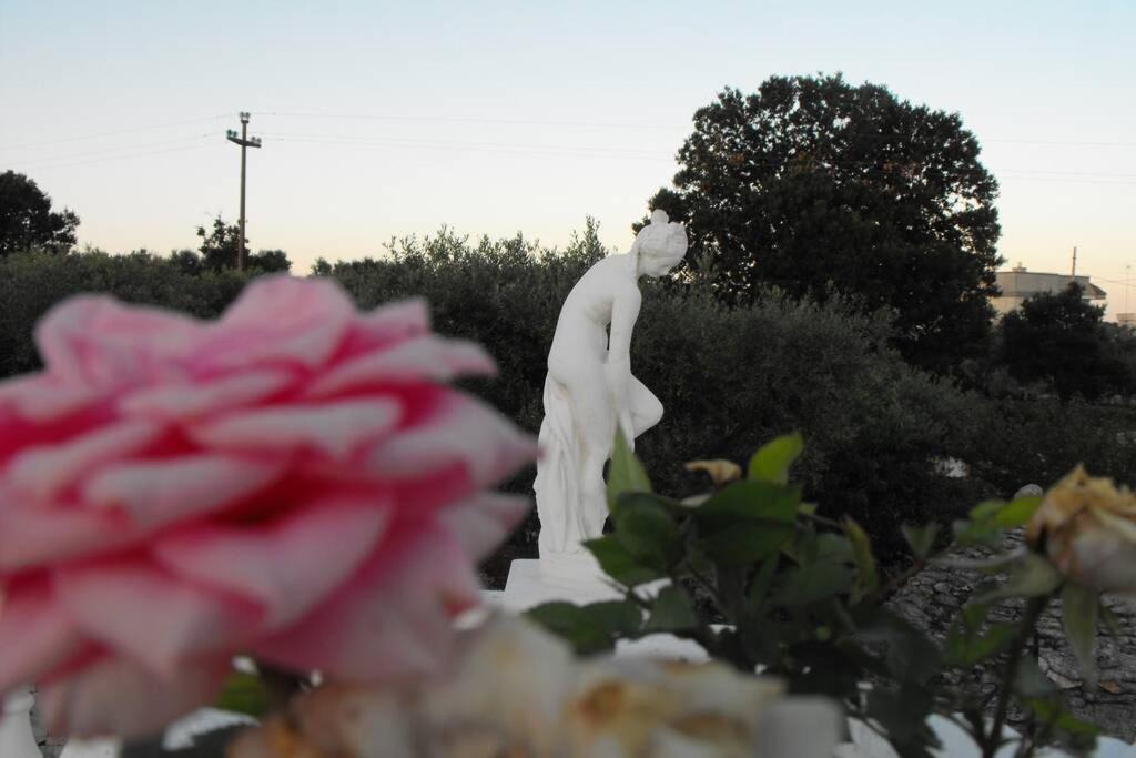 Photo of Others in Alberobello