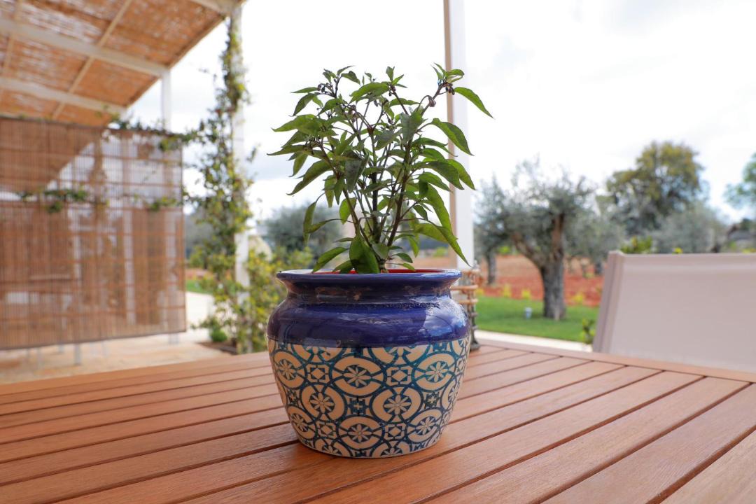 Photo of Patio Balcony in Alessano