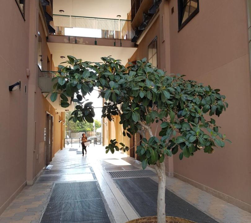 Photo of Others in Municipio 2