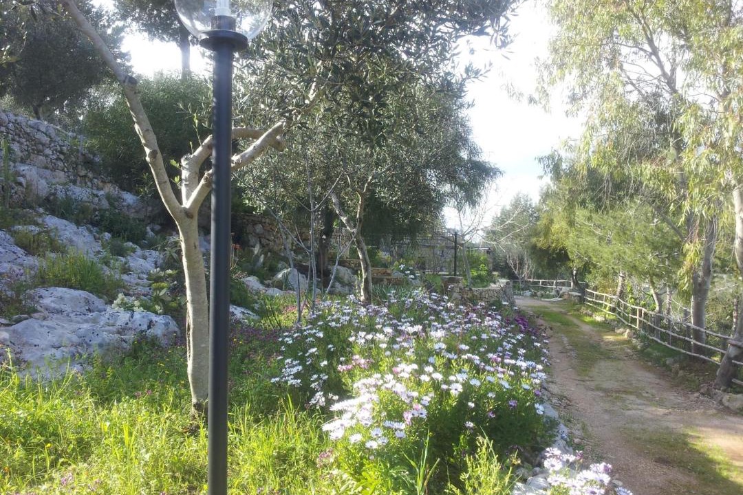 Photo of Outdoor in Specchia