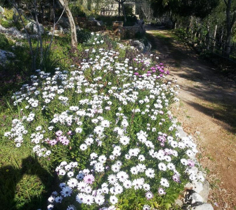 Photo of Outdoor in Specchia