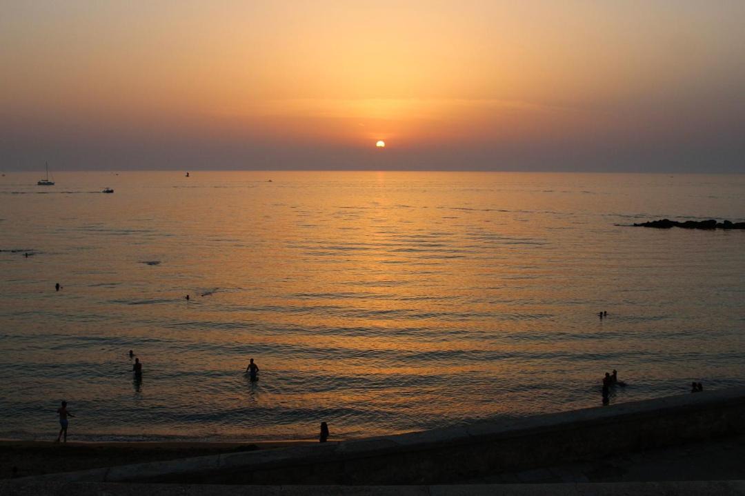Photo of Others in Gallipoli