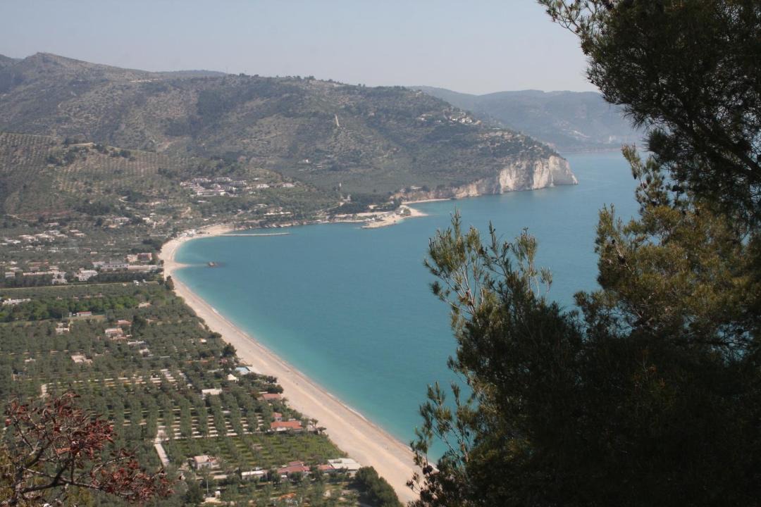 Photo of Others in San Giovanni Rotondo