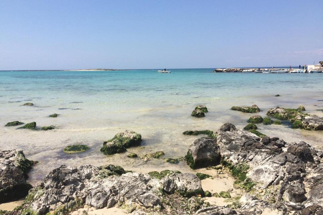Photo of Outdoor in Torre Vado