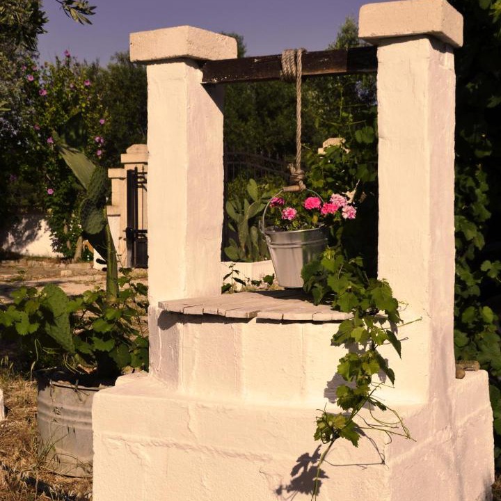 Photo of Others in Ostuni