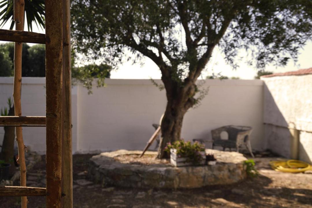 Photo of Others in Ostuni