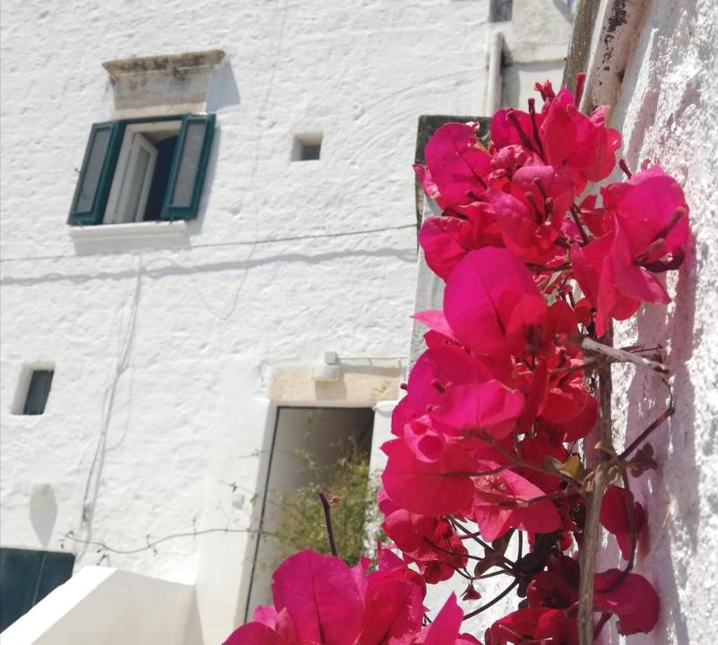 Photo of Others in Ostuni