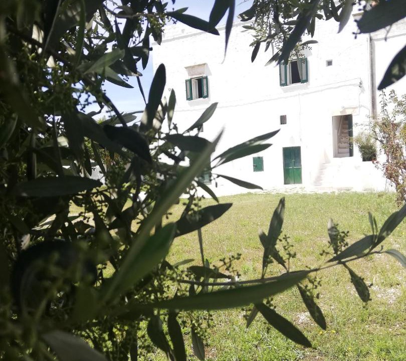 Photo of Buildings in Ostuni
