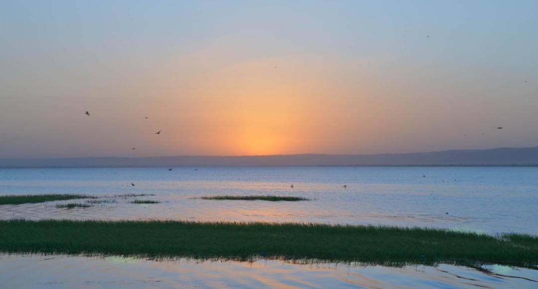 Photo of Others in Awassa