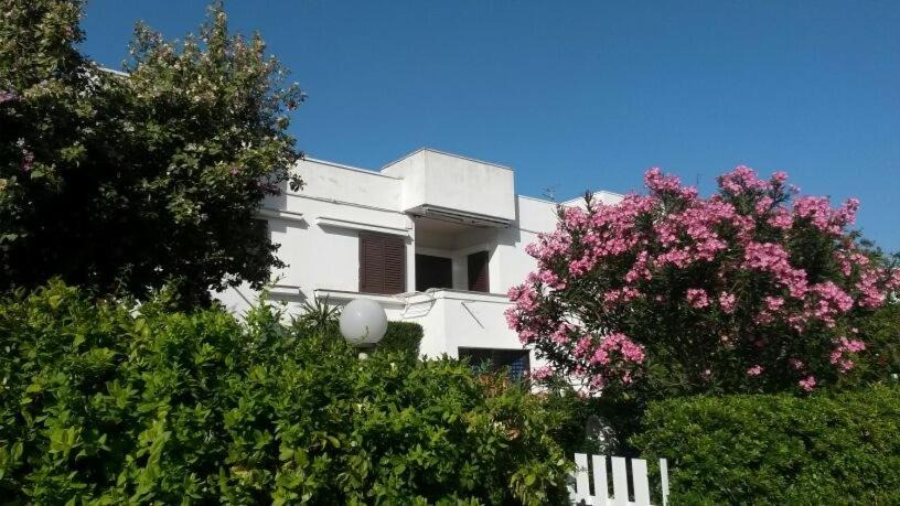 Photo of Buildings in Marina di Ostuni