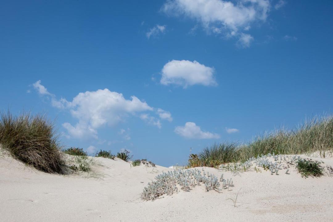 Photo of Outdoor in Torre Lapillo