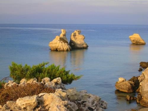 Photo of Outdoor in Torre dell'Orso
