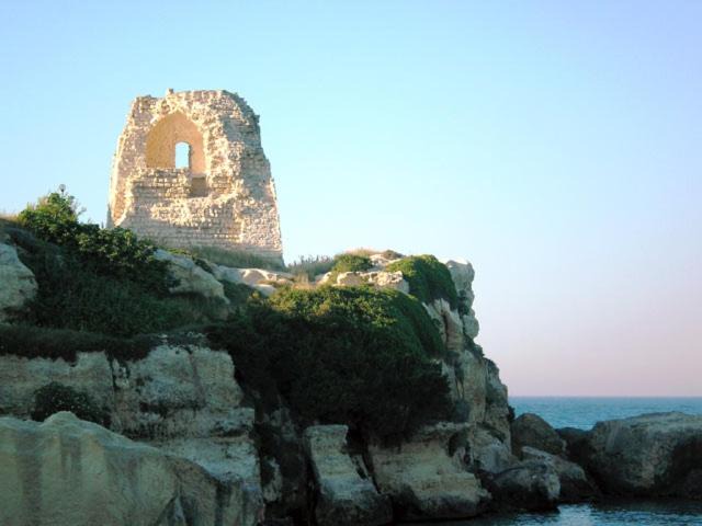 Photo of Others in Torre dell'Orso