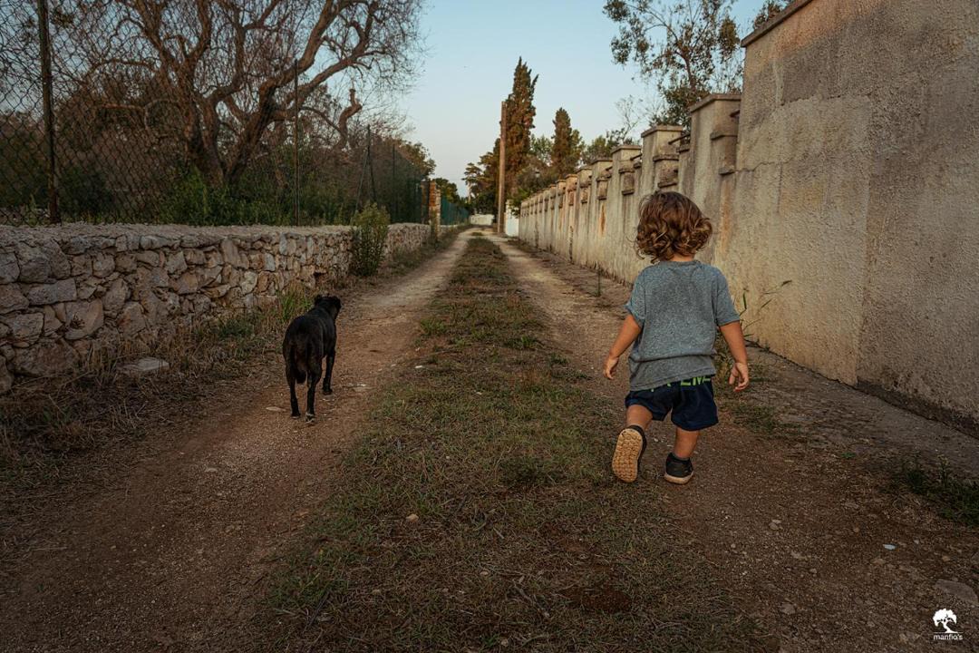 Photo of Human In Picture in Manfio